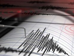 Gempa M 4,8 Guncang Keerom Papua