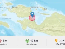 Gempa M 5,0 Terjadi di Teluk Wondama Papua Barat