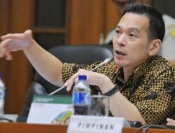 Legislator Soroti Harga Sayur Anjlok, Harap Pemerintah Prabowo Beri Terobosan