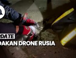 Video Seekor Kucing di Ukraina Selamat Seusai Terkena Ledakan Drone Rusia