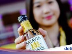 BATAVIA Highball Whisky Soda MIX, Sensasi Segar & Unik di Setiap Tegukan