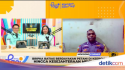 Berdayakan Petani di Keerom, Bripka Batias Gandeng Dinas Buat Pasok Bibit