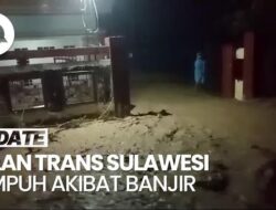 Video: Penampakan Jalan Trans Sulawesi Lumpuh Total gegara Banjir