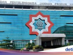 Kewajiban Sertifikasi Halal Berlaku Hari Ini, BPJPH Beri Catatan buat UMK