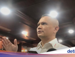 Nazaruddin Dek Gam Jadi Ketua MKD DPR, Janji Profesional Tangani Laporan