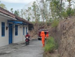 Warga Diamuk Tawon Gung di Kulon Progo, 3 Orang Dilarikan ke RS