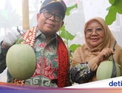 Pj Gubernur Lampung Resmikan Poskesdes dan Panen Melon di Tanggamus