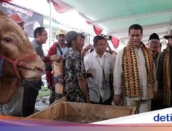 Ketua MPR Sebut Mentan Amran Menteri Kabinet Merah Putih Berkinerja Tinggi