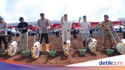 64 Ribu Kg Benih Jagung Ditanam di Banten untuk Program Swasembada Pangan