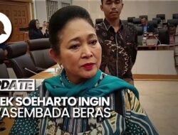 Video Titiek: Zaman Pak Harto Dulu Swasembada Beras, Kenapa Nggak Nyontek Aja