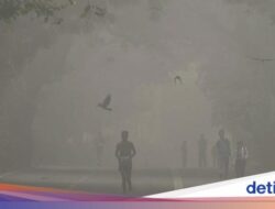 Seluruh Sekolah di New Delhi Tutup Sementara Akibat Polusi Udara Parah