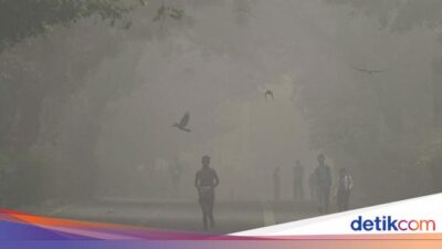 Seluruh Sekolah di New Delhi Tutup Sementara Akibat Polusi Udara Parah