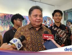 Airlangga Pastikan Program GSN Tak Tumpang Tindih dengan Kementerian