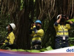 Jurus Grup Merdeka Jaga Keanekaragaman Hayati di Sekitar Area Tambang