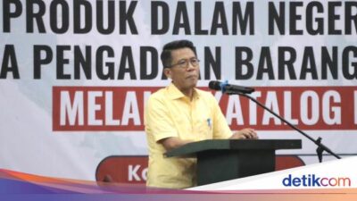 Ketua Komisi XI DPR Dorong UMKM Dukung Program Makan Bergizi Gratis Prabowo