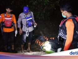 Nelayan di Bangka Belitung Diduga Tewas Diterkam Buaya, Kaki-Kepala Terpisah