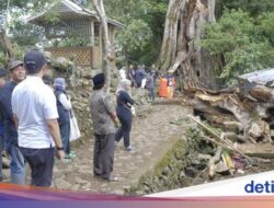 Pohon di Situs Mattabulu Soppeng Tumbang Kena Petir, 9 Orang Tewas