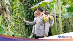 Dukung Ketahanan Pangan, Polda Metro ‘Sulap’ Lahan 30 Ha Jadi Lumbung Pangan