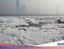 Potret Sungai Yamuna di India Penuh Busa Limbah Industri