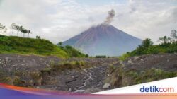 Gunung Semeru Erupsi Semburkan Abu Vulkanis Setinggi 700 Meter