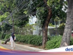 Walkot Jaksel Perintahkan Lurah-Camat Rapikan Kabel Menjuntai di Tebet