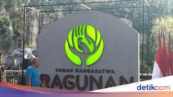 Kata Pengunjung soal Logo Baru Ragunan: Kayak Ada Seni-seninya