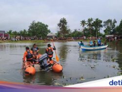 Bocah di Bangka Hilang Diterkam Buaya Saat Hendak Mandi Bareng Ortunya