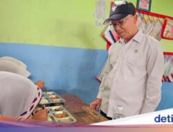 Tinjau Makan Bergizi Siswa SD di Bogor, Wamendikdasmen: 80% Belum Sarapan