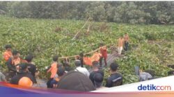 Pria Tewas Diterkam Buaya di Morowali Utara saat Hendak Cuci Tangan