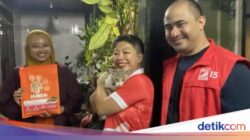 Legislator PSI Beri Bantuan Makanan ke Kucing Korban Banjir di Jaksel