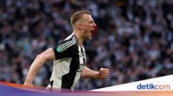 Masuk Timnas, Cetak Gol di Final, Newcastle Juara