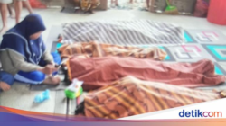 Tambang Emas Ilegal di Buru Maluku Longsor, 7 Orang Tewas