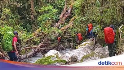 Hilang 22 Hari, Pendaki Asal Bogor Ditemukan Tewas di Gunung Binaiya