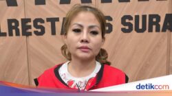 Jan Hwa Diana-Suami Tersangka Perusakan Mobil, Begini Kasusnya Versi Korban