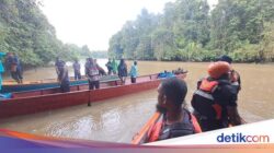 Pria di Sorong Hilang Diterkam Buaya Saat Mancing Ikan